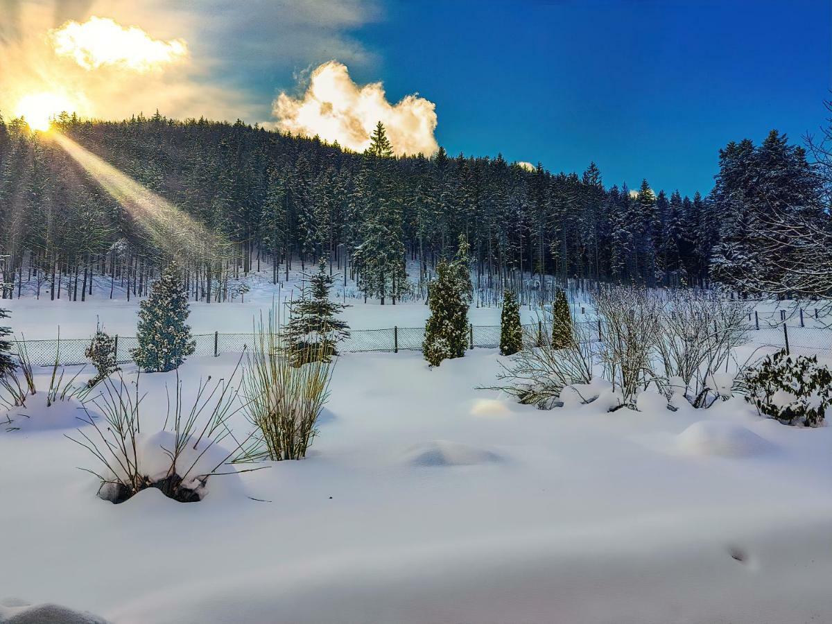 Apartamenty Osada Nosal Zakopane Buitenkant foto